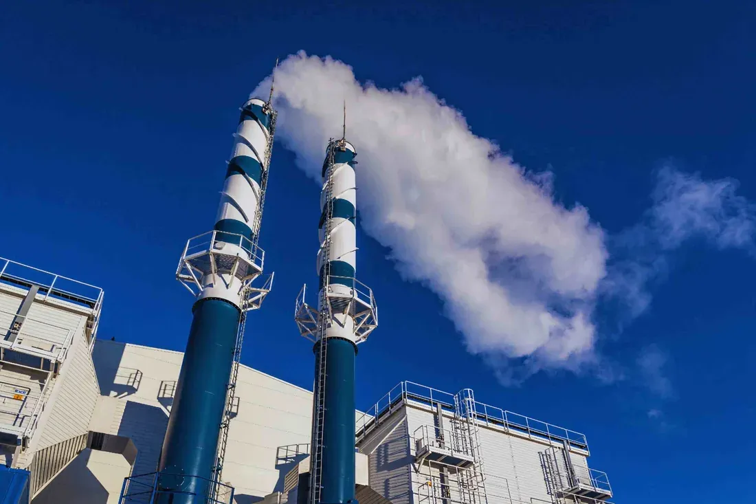 Biomass co-generation power plant