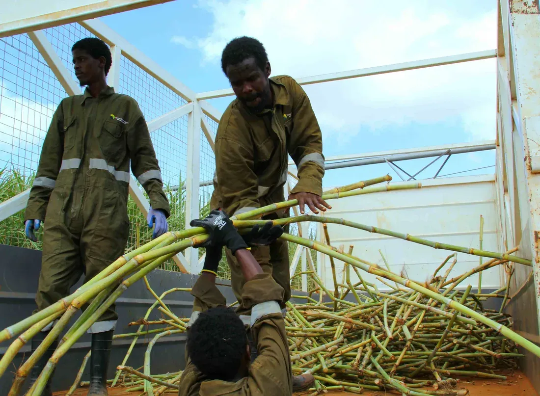 Modern sugar milling facility